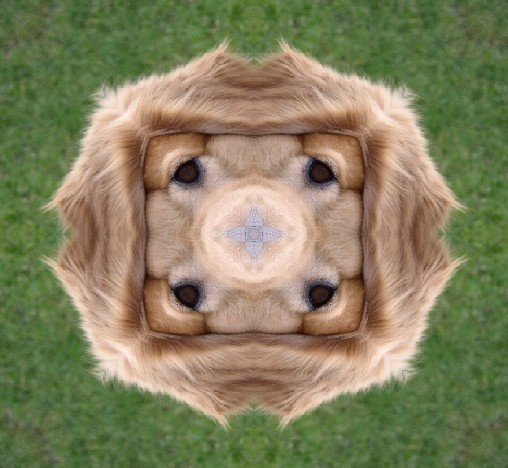 Beispiel für Kaleidoskopeffekt