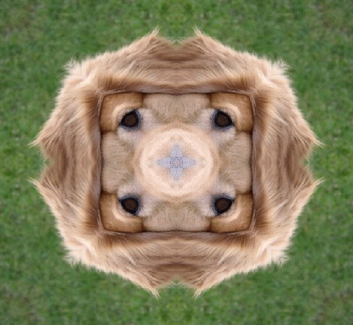 Beispiel für Kaleidoskopeffekt