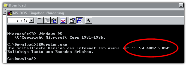 IE Version unter Windows 95